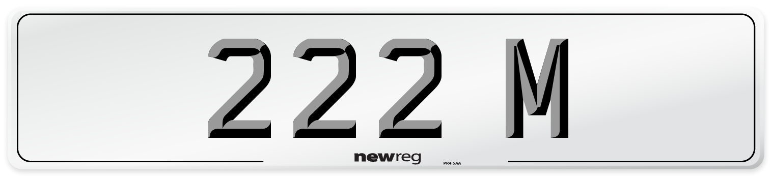 222 M Number Plate from New Reg